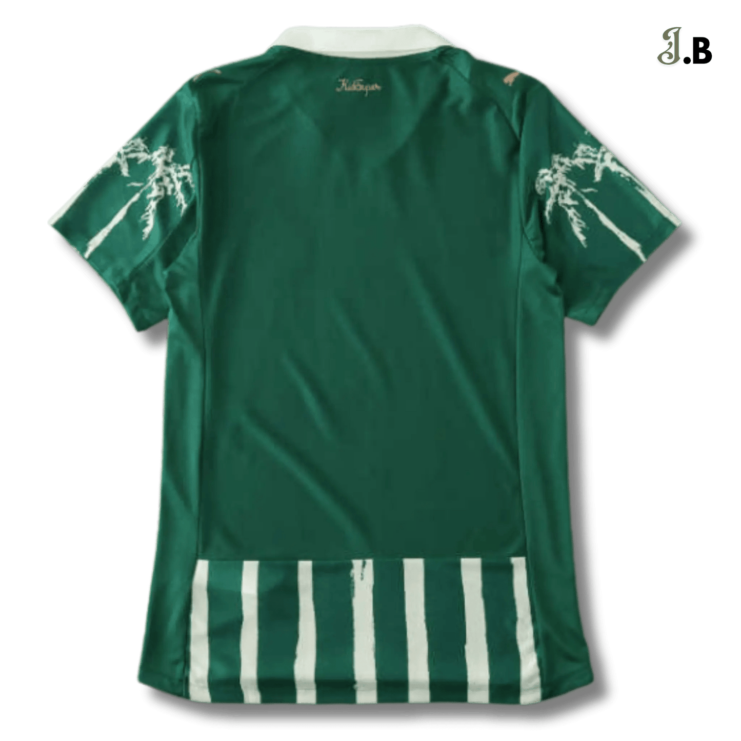 Palmeiras SP Alternate Concept Training Jersey - JogaBonito - Jersey