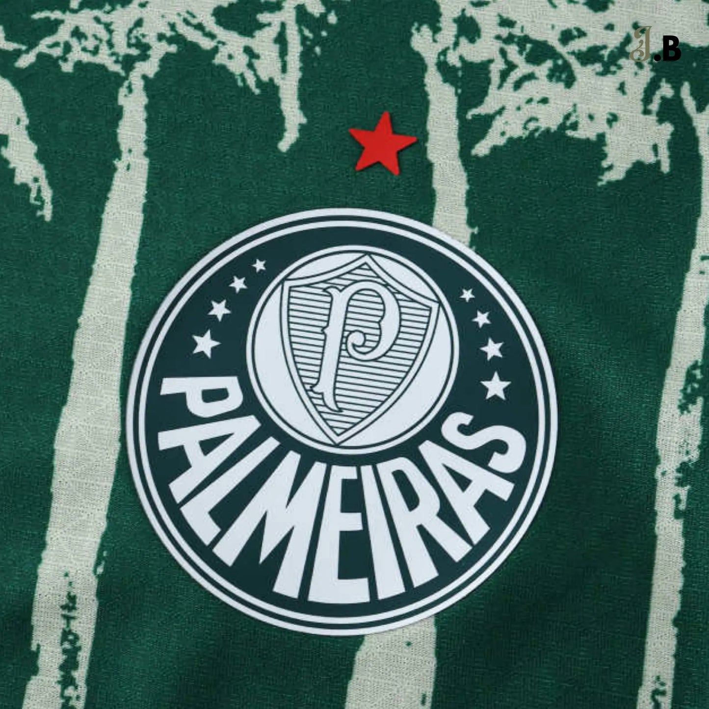 Palmeiras SP Alternate Concept Training Jersey - JogaBonito - Jersey