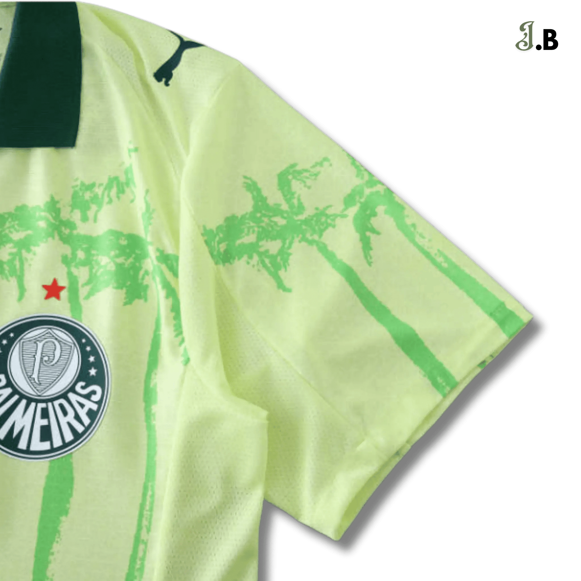 Palmeiras SP Green Concept Training Jersey - JogaBonito - Jersey